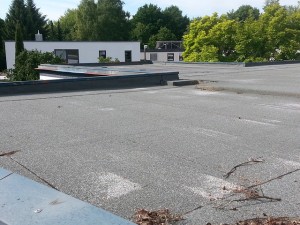 flat-roof-349492_640