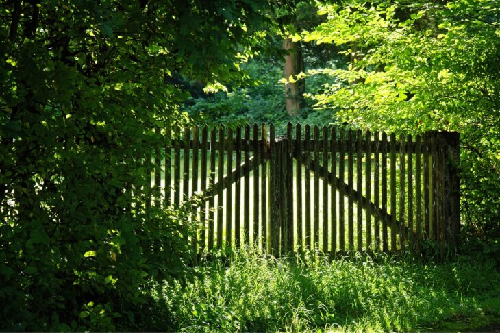 Unkraut am Gartenzaun ist nervig
